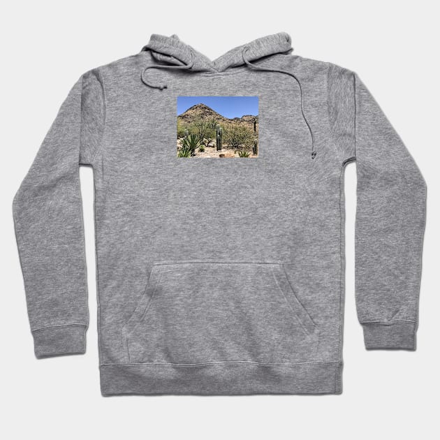 Arizona desert Hoodie by littlebird